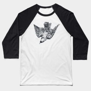 Splendid Starling Baseball T-Shirt